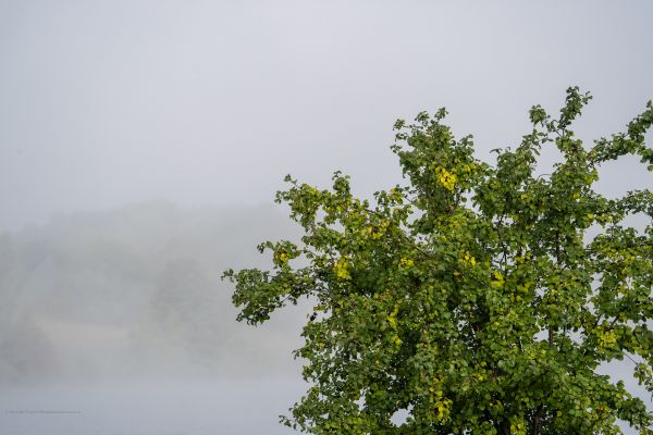 23. September 2022 – Donauinsel